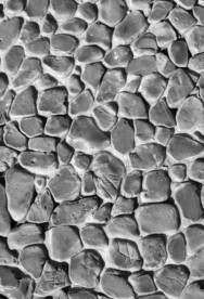 石墙石灰墙马赛克背景纹理素材