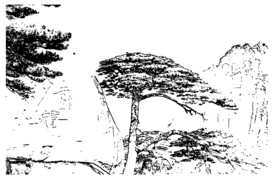 迎客松黑白矢量图