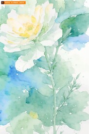 水彩花朵