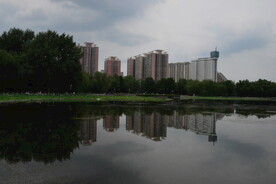 公园风景 