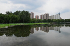 公园风景  
