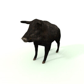 C4D模型 猪