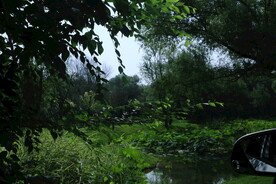 动物园风景  