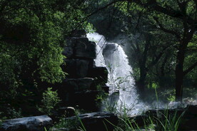 动物园风景 