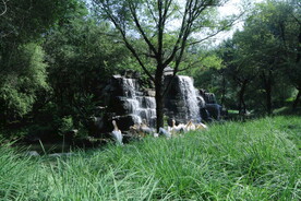 动物园风景  