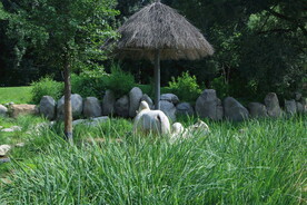  动物园风景  