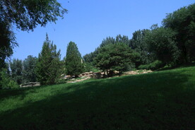  动物园风景 