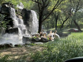 动物园风景  