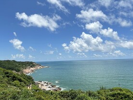 海