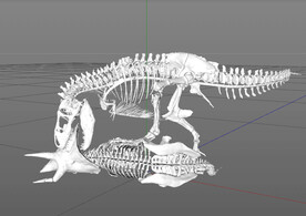 C4D模型 恐龙骨