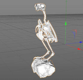 C4D模型 白骨