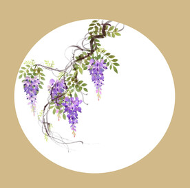 国画工笔紫藤花卉