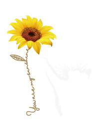 卡通向日葵图案设计