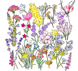 卡通花草图案设计