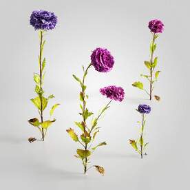 C4D模型 绿色植物