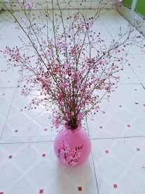 土人参花
