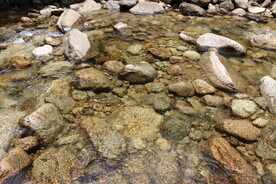 山泉水