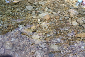 山泉水