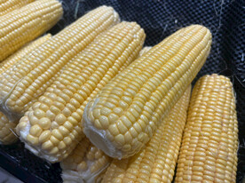 玉米