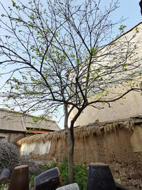 生活素材