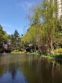 水上风景