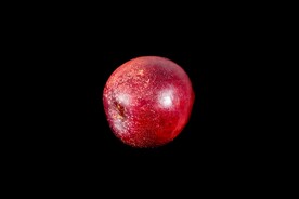 黑色背景下的一个黄桃