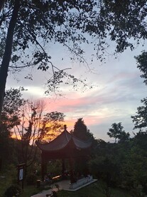 彩霞