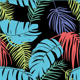 彩色叶子  几何 热带植物