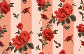 牡丹 玫瑰 手绘 