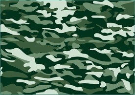 绿色 迷彩