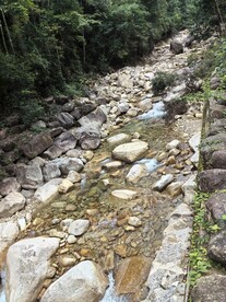 森林小溪 