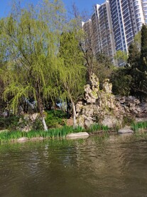 城市公园