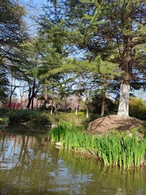水岸风景