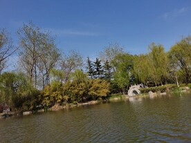 公园湖面风景