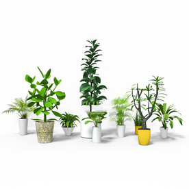 C4D模型 绿色植物