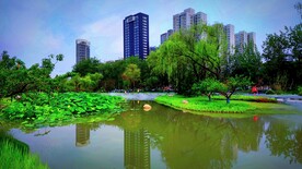 湖水  