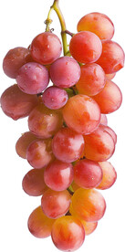 葡萄免抠高清图