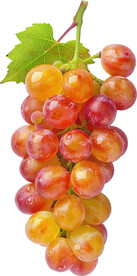 葡萄免抠高清图