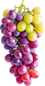 葡萄免抠高清图