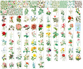  复古宫廷手绘玫瑰 