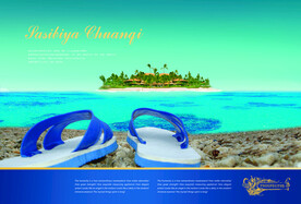 沙滩上的额拖鞋