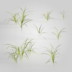C4D模型 绿色植物