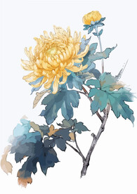 中式水墨画菊花