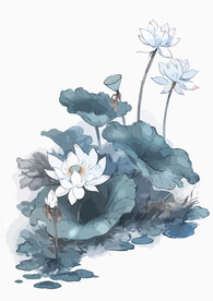 中式水墨画荷花