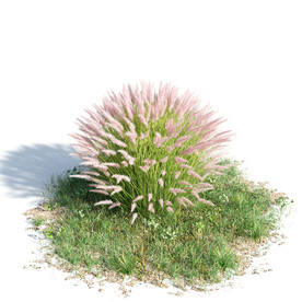 C4D模型 绿色植物