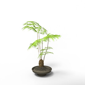 C4D模型 绿色植物