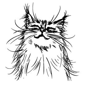 卡通黑白简笔猫