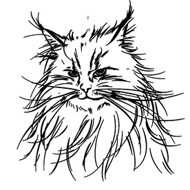 卡通黑白简笔猫图案