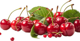 免抠樱桃车厘子图片素材