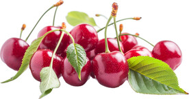 免抠樱桃车厘子图片素材